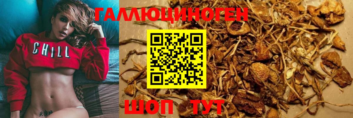 Галлюциногенные грибы GOLDEN TEACHER  Вход с VPN  Волжский 
